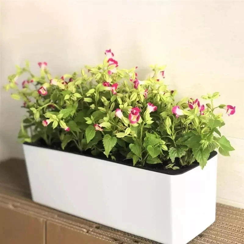 Prostokątna leniwa doniczka hy – Hydroponic Grow Pod recenzja i cena