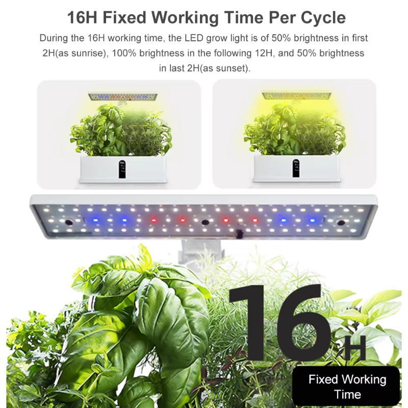 9-komórkowy inteligentny syste – Hydroponic Grow Pod recenzja i cena