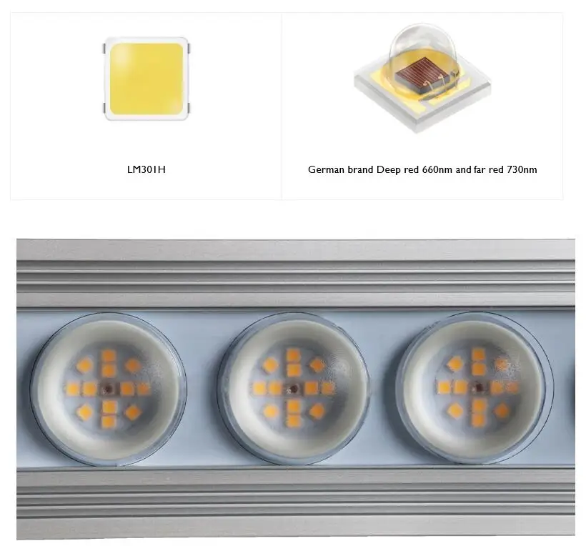 Koray 900W Wewnętrzna lampa do – Plant Grow Light Full Spectrum recenzja i cena